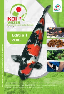 KW65 - Cover