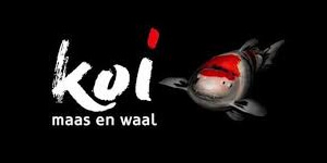 Koi Maas en Waal